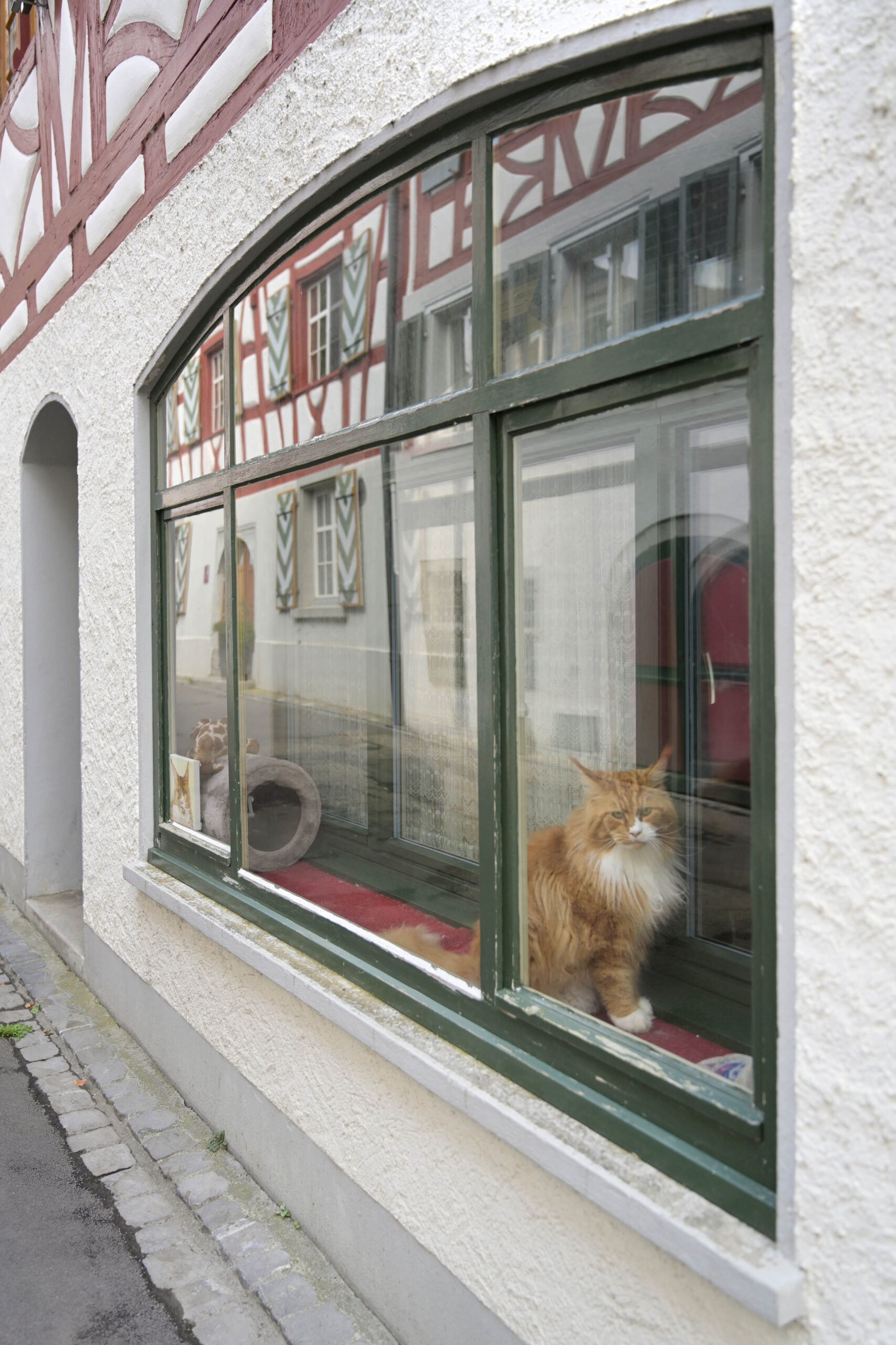 Casa Urbach - Steckborn am Bodensee 5